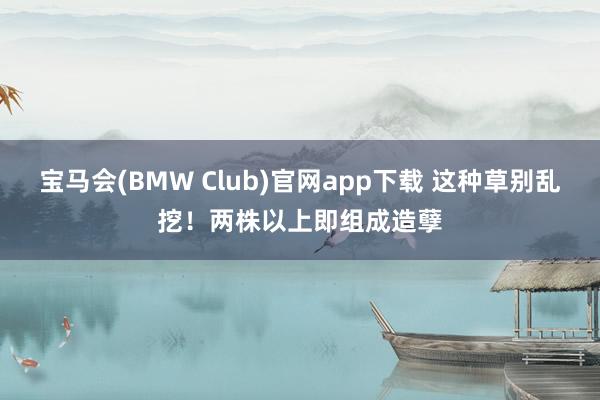 宝马会(BMW Club)官网app下载 这种草别乱挖！两株以上即组成造孽