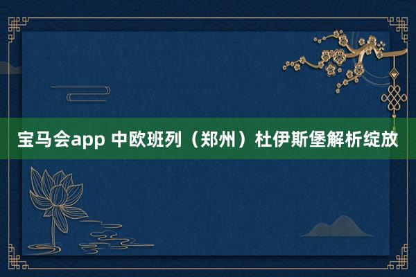 宝马会app 中欧班列（郑州）杜伊斯堡解析绽放