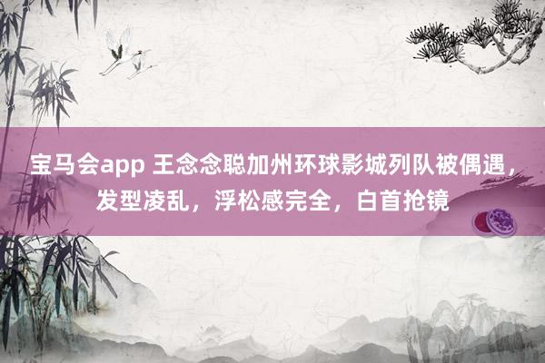 宝马会app 王念念聪加州环球影城列队被偶遇，发型凌乱，浮松感完全，白首抢镜