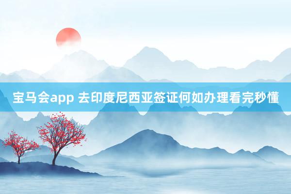宝马会app 去印度尼西亚签证何如办理看完秒懂