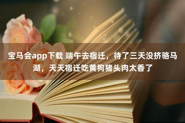 宝马会app下载 端午去宿迁，待了三天没挤骆马湖，天天宿迁吃黄狗猪头肉太香了