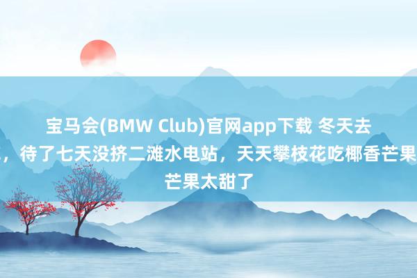 宝马会(BMW Club)官网app下载 冬天去攀枝花，待了七天没挤二滩水电站，天天攀枝花吃椰香芒果太甜了