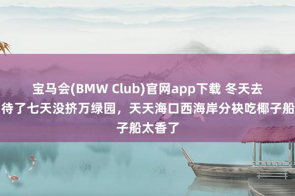 宝马会(BMW Club)官网app下载 冬天去海口，待了七天没挤万绿园，天天海口西海岸分袂吃椰子船太香了