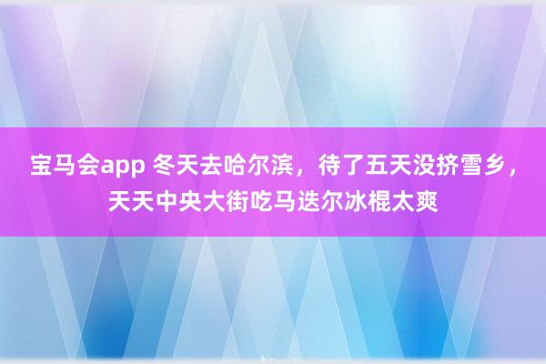 宝马会app 冬天去哈尔滨，待了五天没挤雪乡，天天中央大街吃马迭尔冰棍太爽