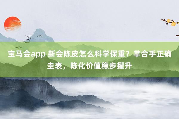 宝马会app 新会陈皮怎么科学保重？掌合手正确圭表，陈化价值稳步擢升