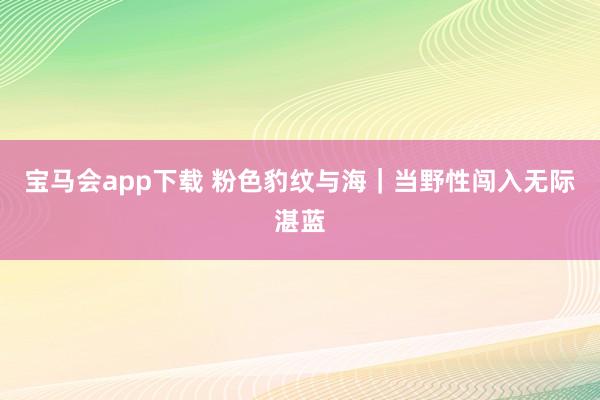 宝马会app下载 粉色豹纹与海｜当野性闯入无际湛蓝