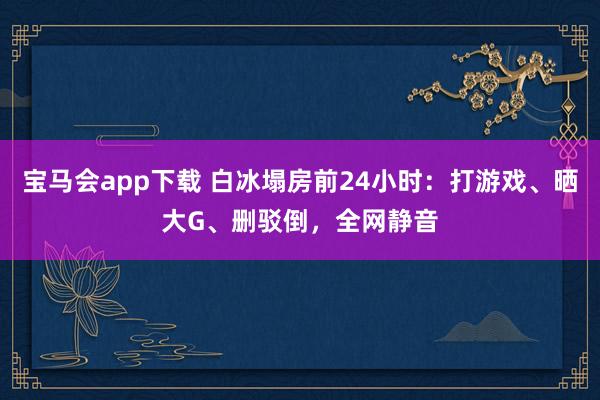 宝马会app下载 白冰塌房前24小时：打游戏、晒大G、删驳倒，全网静音