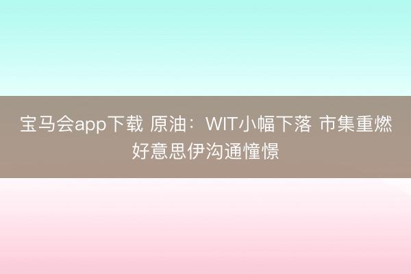 宝马会app下载 原油：WIT小幅下落 市集重燃好意思伊沟通憧憬