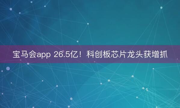 宝马会app 26.5亿！科创板芯片龙头获增抓